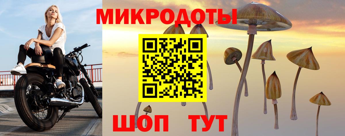 Галлюциногенные грибы MAGIC MUSHROOMS Белово