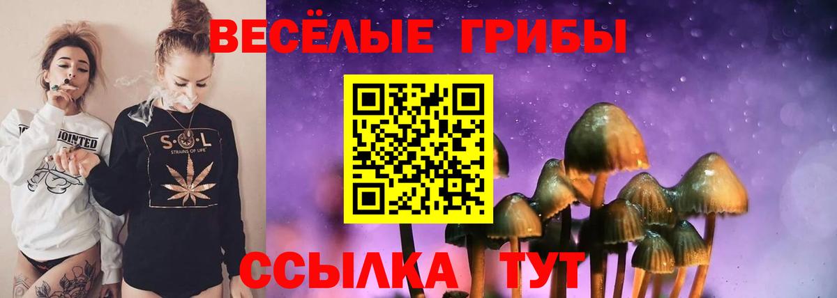 Белово  Псилоцибиновые грибы GOLDEN TEACHER  Вход с VPN  Галлюциногенные грибы Psilocybine cubensis 